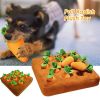 Super Soft Fabric Children Toy Dog Carrot Plush Toy Anti-slip Design For Pet Dog Cat Toy Children Early Education