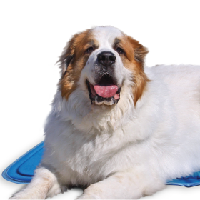 Cool Pet Pad (Color: Blue, size: XL)