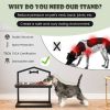 Adjustable Heights Elevated Dog Bowl Feeder Stand