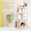 Indoor Funny Cozy Small Cat Tree Condo