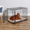 MidWest Homes For Pets Double Door iCrate Metal Dog Crate